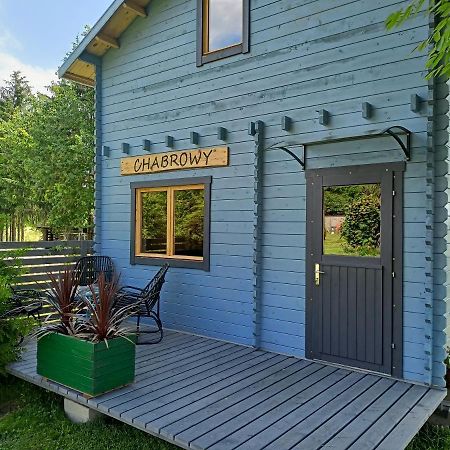 Swierkowe Siedlisko Wegorzewo Exterior photo